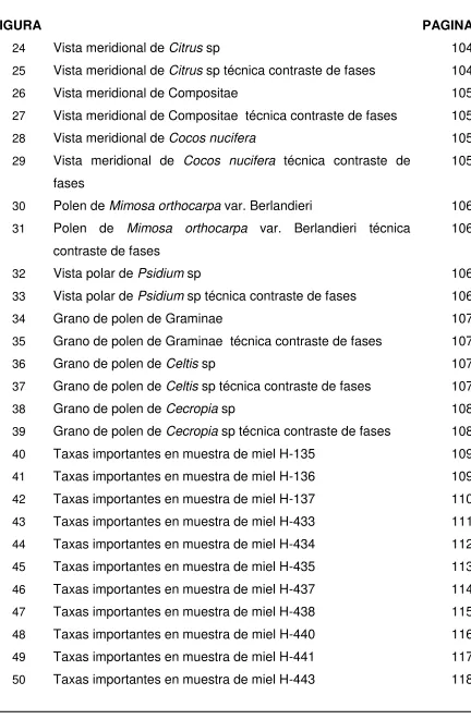 FIGURA  