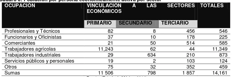 Cuadro 6: Población por persona económicamente activa por sector 