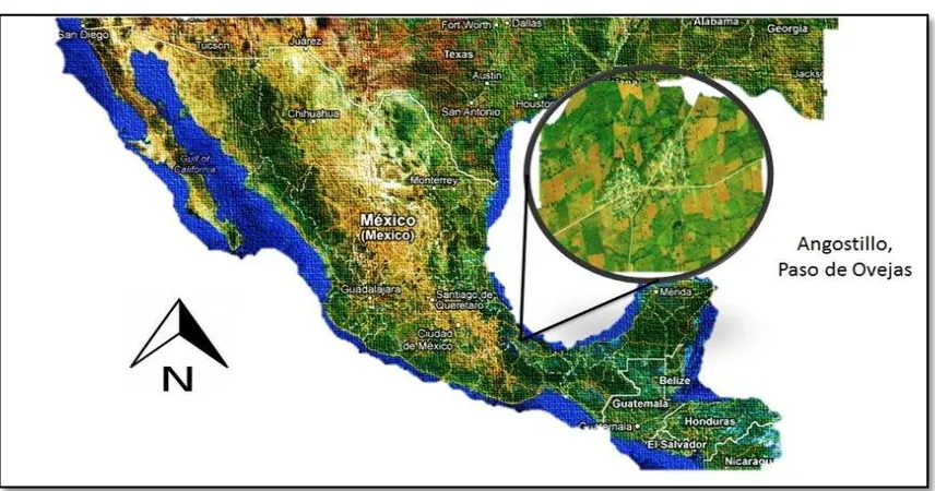Figura 1. Localización de la comunidad de Angostillo, Veracruz. 