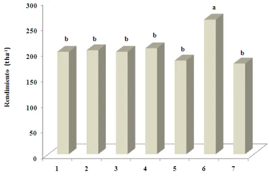 Figura 4. Respuesta del rendimiento en nopal verdura (Opuntia ficus indica L.) a  la 