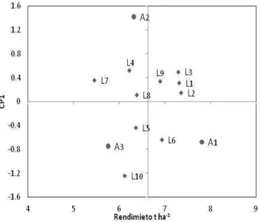 Figura 2.1. Biplot del CP1 en función del rendimiento promedio de 10 líneas de maíz evaluadas en Montecillo, Estado de México