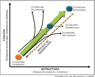 Figura 2. Modelo que representa los posibles estados de restablecimiento o mejora de un  ecosistema degradado (Fuente: Barrera-Cataño et al., 2010)