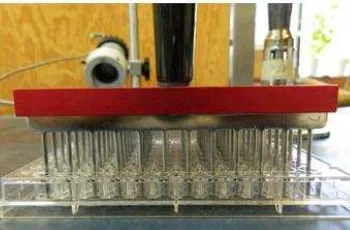 Figura 2. Microplaca de 96 pocillos con el inoculador multipunto y la fuente de inoculo bacteriano