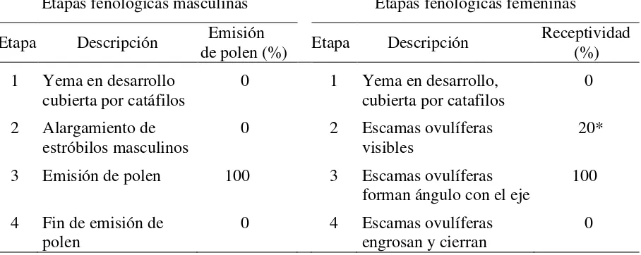 Cuadro 2.1. Etapas fenológicas reproductivas registradas en porcentaje para determinar sincronía de 20 clones evaluados en el huerto semillero clonal de Pinus patula Schiede ex Schltdl