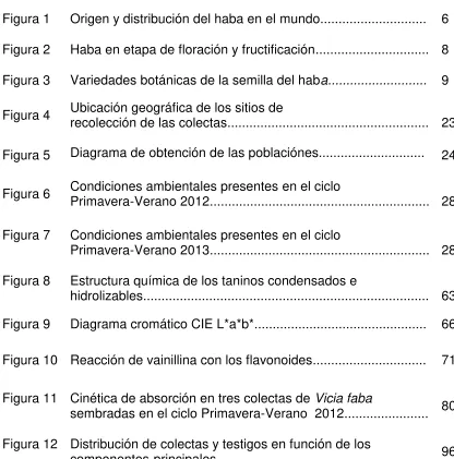 Figura 1 