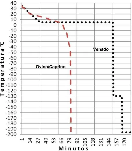 Figura 6. Curvas de congelamiento para la crioconservación de espermas de venado cola blanca usadas para determinar su efecto sobre la calidad de semen al descongelar