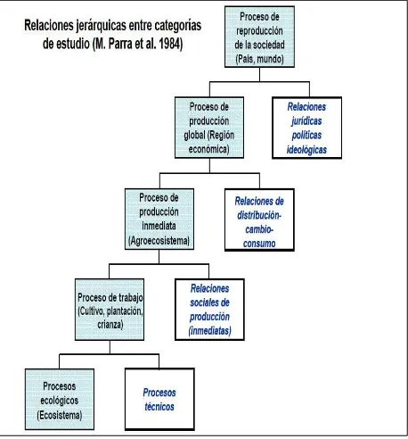 Figura 6. Categorías, procesos y relaciones generales con la producción. Fuente: (Parra et al., 1984)
