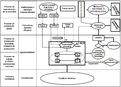 Figura 8. Modelo explícito de los componentes y procesos de agroecosistema. Fuente: (Martínez, 2010)