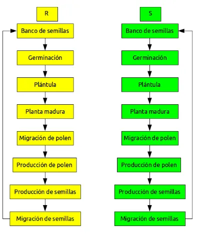 Figura 5. Comparación en la diferentes etapas del ciclo biológico para determinar las diferencias en la aptitud entre individuos susceptibles y resistentes (Tomado de Maxwell et al., 1990).