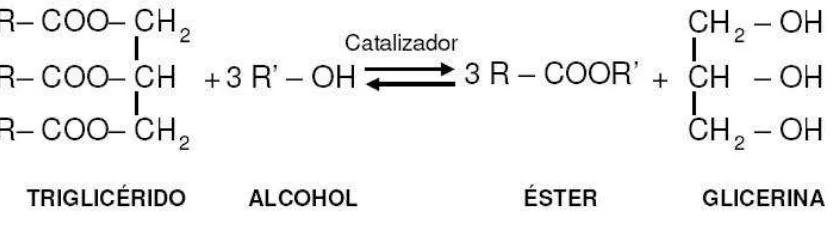 Figura 1. Reacción de transesterificación en la producción del biodiesel (metil éster)
