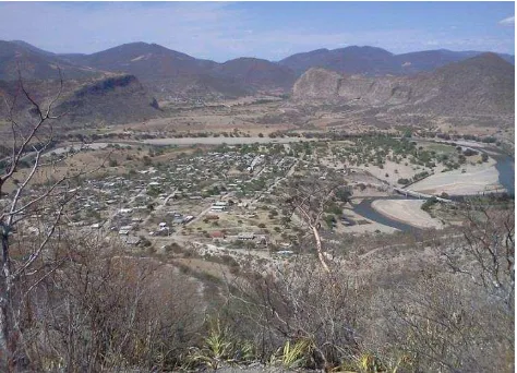 Figura 3 Vista panorámica de la comunidad de Tlalcozotitlán, Municipio de Copalillo, Guerrero