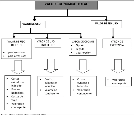 Figura 1. Esquema del Valor Económico Total   