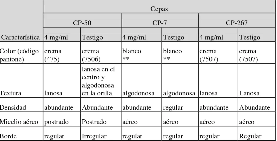 Tabla 25. Caracterización morfológica de las cepas comestibles cultivadas en medio EMA con 4 mg/ml 