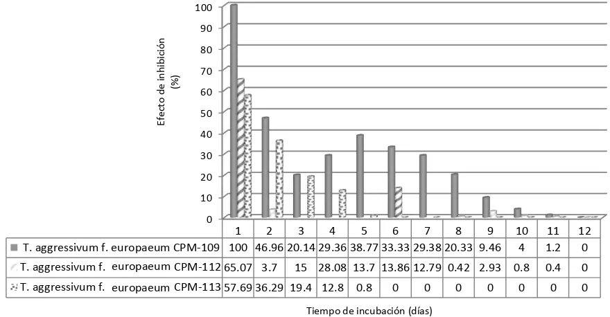 Fig. 51. Velocidad de crecimiento micelial de Trichoderma aggressivumanalizados por análisis de variextracto de cebolla morada ( f