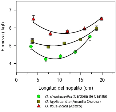 Figura 2.1. Firmeza (± e.e.) a lo largo de los nopalitos de tres especies de Opuntia