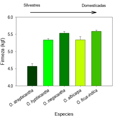 Figura 2.3.  Firmeza promedio de nopalitos (+ e.e.) de cinco especies de Opuntia (n= 3 