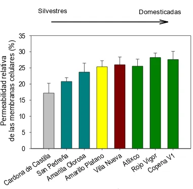 Figura 2.13.  Permeabilidad relativa de las membranas celulares (+e.e) de tejido de ocho variantes de nopalitos, cultivados con riego y en condiciones de invernadero