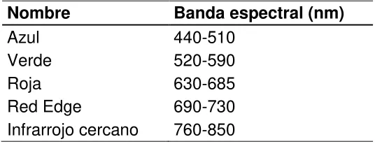 Cuadro 3. Principales características de los satélites RapidEye. 
