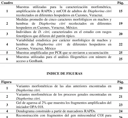Cuadro  Pág. 