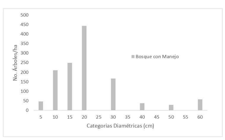 Figura 2.4. Distribución de las categorías diamétricas para las áreas con manejo forestal en Santa Catarina Ixtepeji, Oaxaca