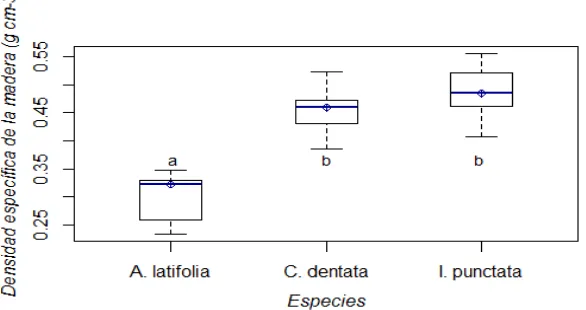 Figura 2.2 Densidad específica de la madera (g cm-3) en las tres especies arbóreas. Valores con diferente letra son significativamente diferentes (Tukey's HSD; p ≤ 0.0001)