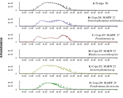 Figura 4.3. Cromatogramas de GC-MS que muestran la abundancia de picos de 