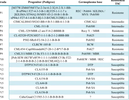 Cuadro 1.- Pedigree, germoplasma base y nivel de resistencia a TSC1 de las 18 líneas endogámicas utilizadas para elanálisis de cruzas dialélicas TSC.