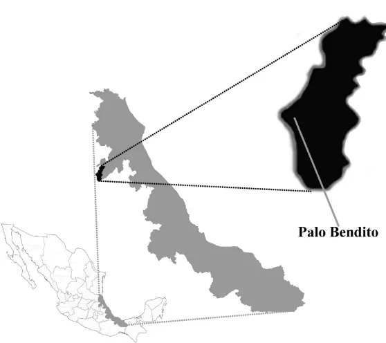 Figura 4. Ubicación del área de estudio para la verificación de concentraciones críticas y normas DRIS en la comunidad Palo Bendito, Huayacocotla, Veracruz