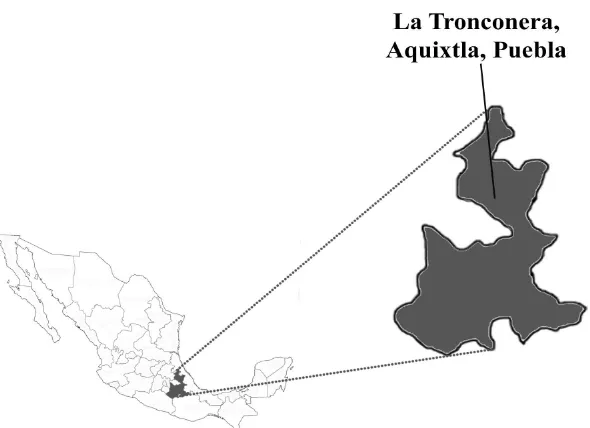 Figura 5. Ubicación del área de estudio para la verificación de concentraciones crítica y normas DRIS en el paraje La Tronconera, Conjunto Predial Forestal, Aquixtla, Puebla