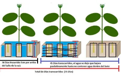 Figura 1. Simulación de inundación en vivero 