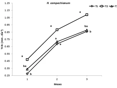 Figura 6. Tasa de Crecimiento Relativo (TCR) en diámetro, para H. campechianum en los tres 