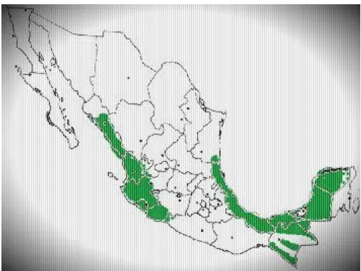 Figura 1. Área de distribución de Cedrela odorata en  México. 