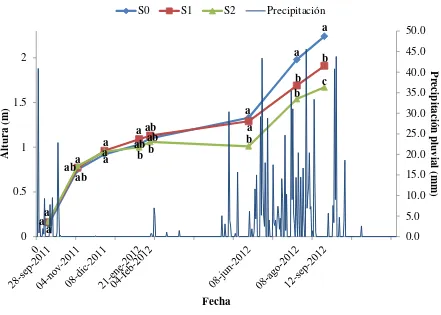 Figura 4. Altura de planta por tratamiento de sequía en diferentes fechas. Promedios con 