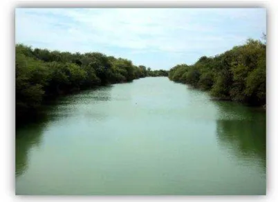 Figura 5 . Río salado. 