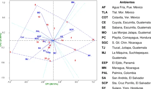 Figura 2.  Grafico biplot de la contribución de los genotipos y de los ambientes a la interacción, representada mediante los ejes de los dos primeros componentes principales para el rendimiento de 20 híbridos tropicales de endospermo amarillo evaluados en 