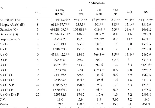 CUADRO 2.1. de población y cuatro ambientes. Ciclo Primavera combinado para diversas variables de cuatro híbridos de maíz evaluados en dos densidades Cuadrados medios y significancia estadística del análisis de varianza – Verano 2012