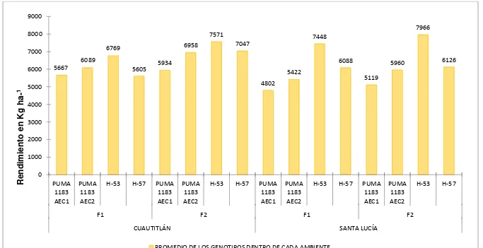 Figura 2.2. Comportamiento medio del rendimiento (kg ha-1) de cuatro híbridos evaluados en cuatro ambientes, bajo dos 