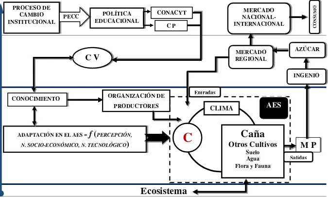 Figura 1. Modelo teórico-conceptual para el análisis del agroecosistema con caña de azúcar sobre la percepción y adaptación de agricultores al cambio climático