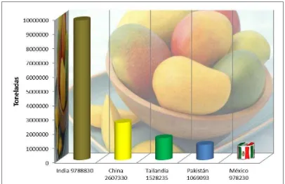 Figura 2. Principales países productores de mango. 