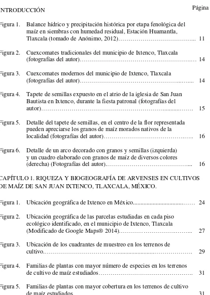 Figura 1. Balance hídrico y precipitación histórica por etapa fenológica del 