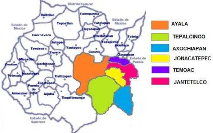 Figura 4. Municipios de origen de las variedades utilizadas. Región Oriente de Morelos