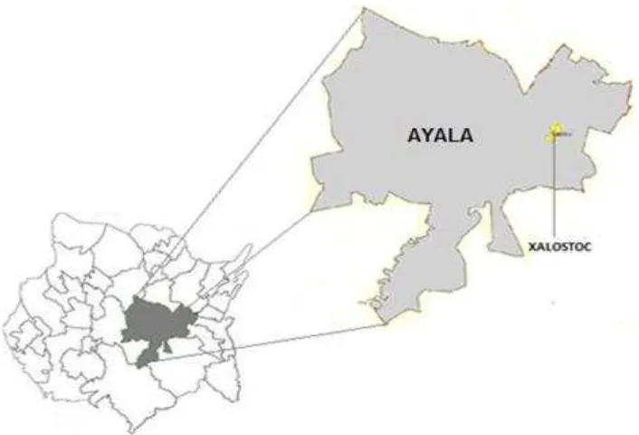 Figura 5. Ubicación del municipio de Ayala y del campo experimental de la UAEM, Xalostoc, Morelos