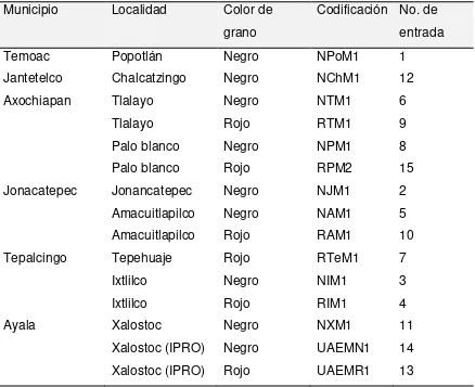 Cuadro 4. Relación de los municipios, localidades de los municipios, color, codificación y número de entrada de los genotipos evaluados en Xalostoc, Morelos