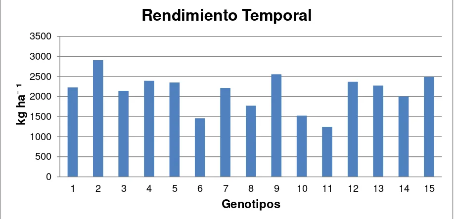 Figura 9. Rendimiento de grano obtenido en la parcela de temporal, Xalostoc, Morelos, 2011