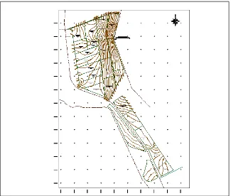 Figura 19. Plano topográfico de la zona de proyecto  “δa Sauceda”. 