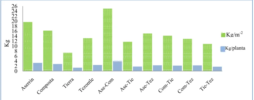 Figura 6.7 Rendimiento de tomate por planta y m-2 