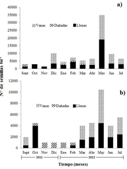 Figura 10. Número y condición de semillas de Pinus patula en los sitios: a) SSM y b) SCM