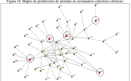 Figura 18. Mapeo de productores de jitomate en invernadero colectores (difusse) 