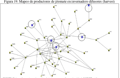 Figura 19. Mapeo de productores de jitomate en invernadero difusores (harvest) 