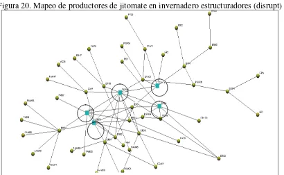 Figura 20. Mapeo de productores de jitomate en invernadero estructuradores (disrupt) 